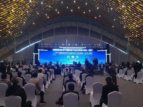 2020中國(guó)安徽名優(yōu)農(nóng)產(chǎn)品暨農(nóng)業(yè)產(chǎn)業(yè)化交易會(huì)合肥開(kāi)幕 孫正東巡視阜陽(yáng)展廳潁上展臺(tái)